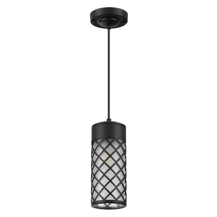 4834/1 NATURE ODL21 575 черный/стекло Ландшафтный светильник-подвес E27 1*60W IP44 DUNES