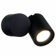 Бра Outdoor O010WL-01B - Бра Outdoor O010WL-01B