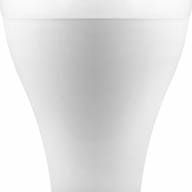 Лампа светодиодная Feron LB-98 Шар E27 20W 4000K - Лампа светодиодная Feron LB-98 Шар E27 20W 4000K