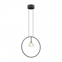 4100/1 CLASSIC  ODL19 65 черный/прозрачный Подвес G9 1*5W ARCO