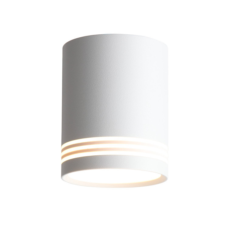 ST101.502.12 Светильник потолочный ST-Luce Белый/Белый LED 1*12W