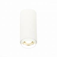 ST600.542.10 Светильник потолочный Zoom Белый LED 1*10W 4000K 1 000Lm Ra>80 15-60° IP20 D59xH130 170-240VV - ST600.542.10 Светильник потолочный Zoom Белый LED 1*10W 4000K 1 000Lm Ra>80 15-60° IP20 D59xH130 170-240VV