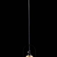 Подвесной светильник Maytoni T163-11-C - Подвесной светильник Maytoni T163-11-C