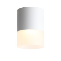 ST100.542.15 Светильник потолочный Белый LED 1*15W 4000K 1 170Lm Ra>80 120° D118xH150 170-240V
