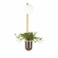 4682/1WB WALLI ODL20 529 золото/белый Настенный светильник E14 1*40W 220V FLOWER - 4682/1WB WALLI ODL20 529 золото/белый Настенный светильник E14 1*40W 220V FLOWER