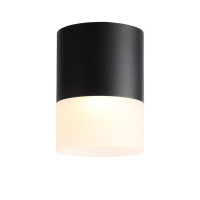 ST100.442.15 Светильник потолочный Черный LED 1*15W 4000K 1 170Lm Ra>80 120° D118xH150 170-240V