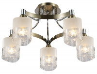 Потолочный светильник Freya FR5475CL-05CH