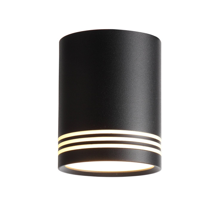ST101.442.12 Светильник потолочный Черный LED 1*12W 4000K 936Lm Ra>80 120° IP20 D79xH100 170-240V